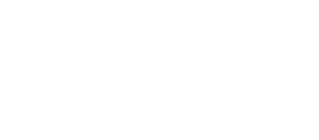 Digital Link Trading Store